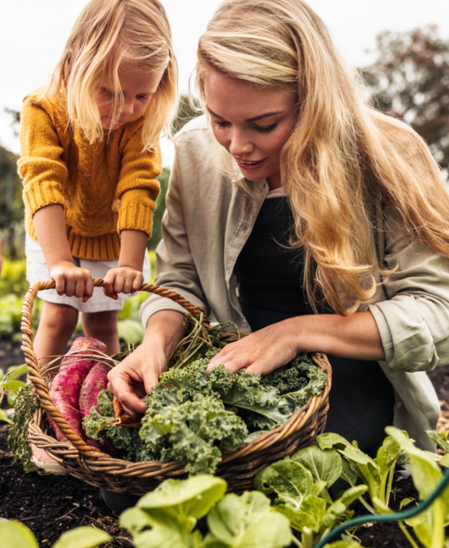 How does organic food differ from conventional food?