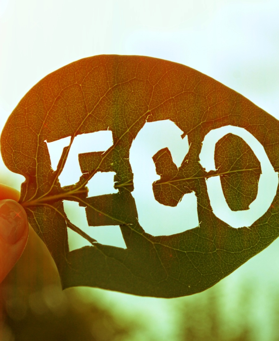 How are organic products labelled?