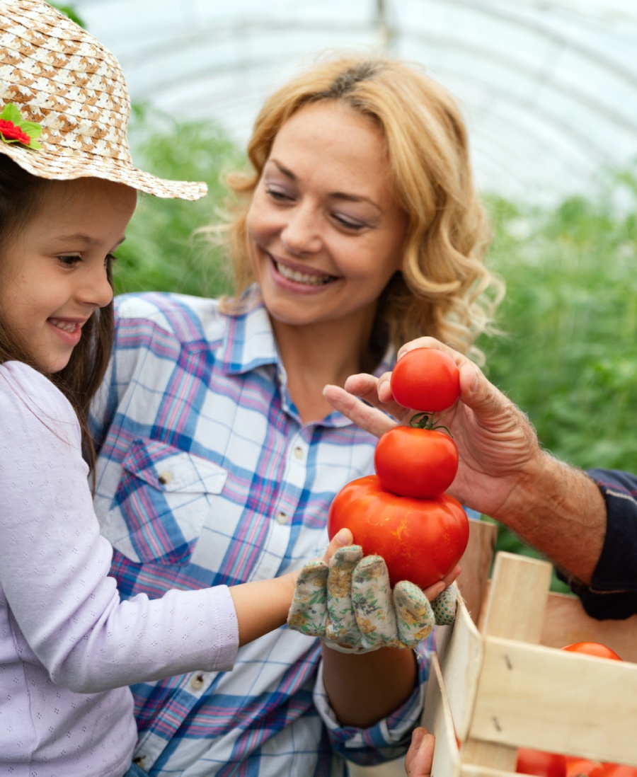 Organic food without E numbers (additives)?