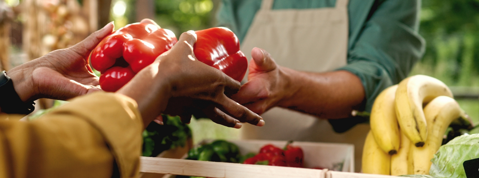 Hands exchanging red bell peppers among other fresh organic food and BIO products.