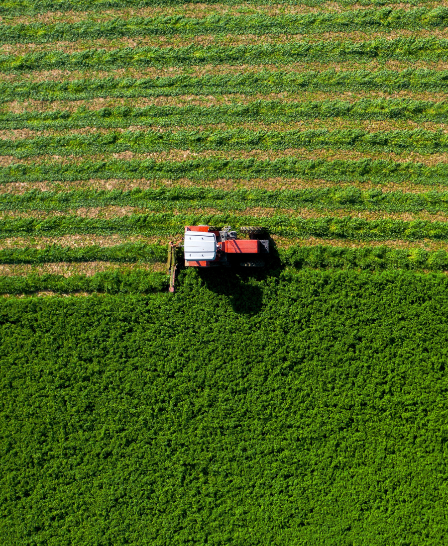 Fertilization in organic farming. How are soils nourished?
